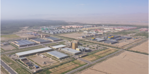 新疆墨玉：行业加强联动 市场持续回暖
